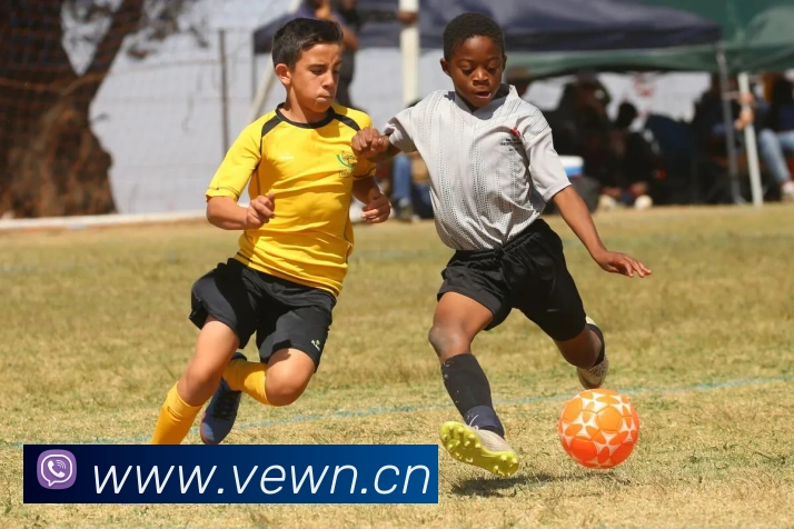 App Interface Preview